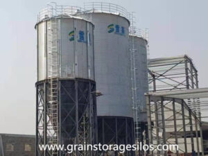 500T and 100T galvanized grain silos will be finished installation these days