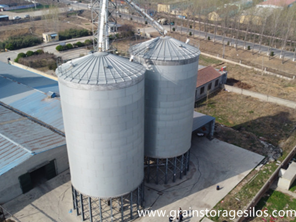 2*1000T hopper bottom silo is used in feed factory