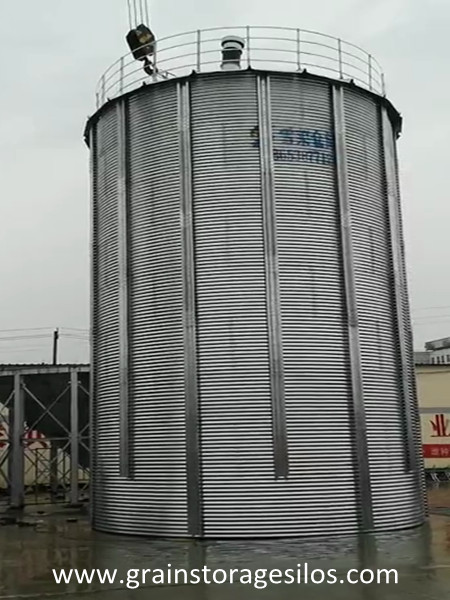 Galvanized Grain Bucket Elevator Used in 2-300T Wheat Hopper Bottom Silos