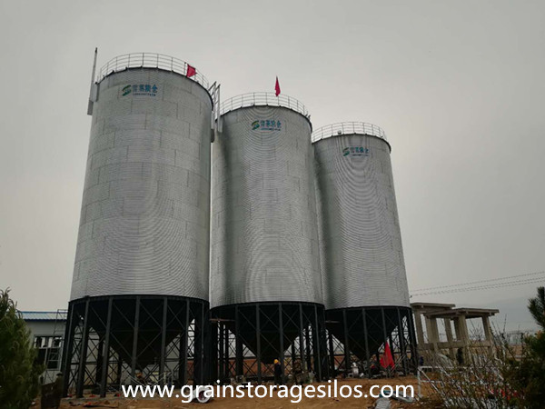 The construction of 3* 500T corn hopper bottom silos was completed.