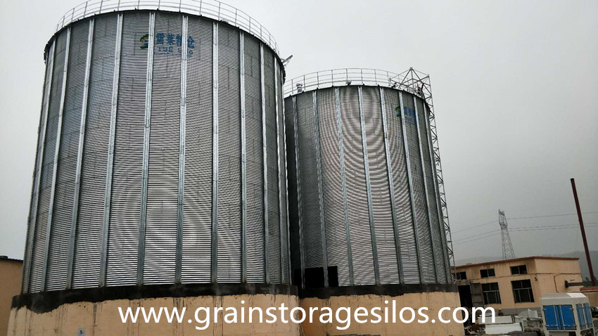 Galvanized Grain Silo Installation in Shandong Province