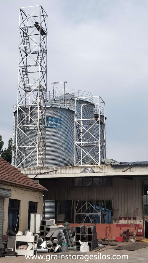 Grain Steel Silo Installation in Shandong Province