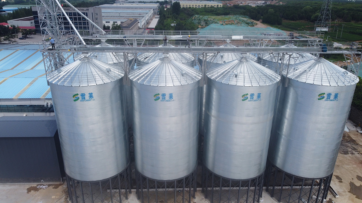 8 sets 1000T Paddy storage silos for a Rice Mill