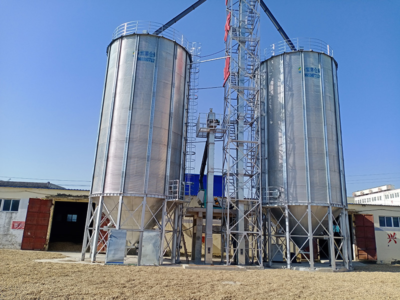 2 sets 1000T galvanized corn storage steel silos for a poultry feed mill