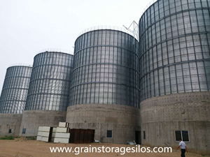 4x4000T flat bottom insulation silos and 1x1200T galvanized grain silos