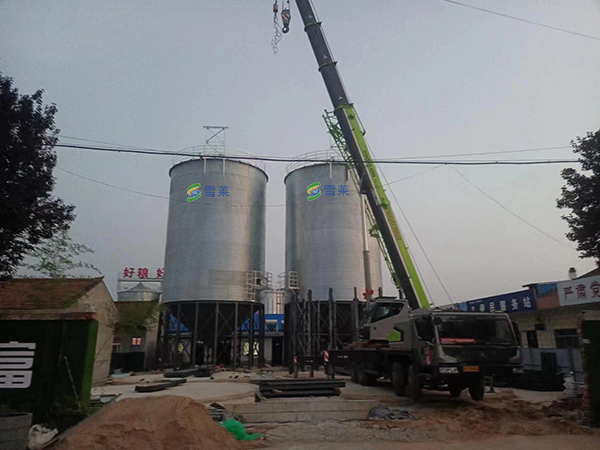 2-1000T Silo Project for Shanxi Kangyuantai Agricultural Science&Technology