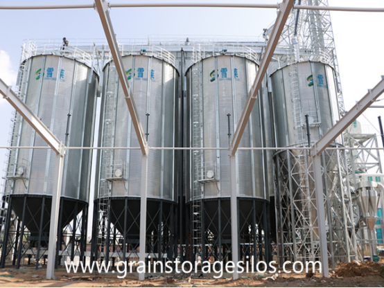 2-1000T and 3-400T corn storage silos