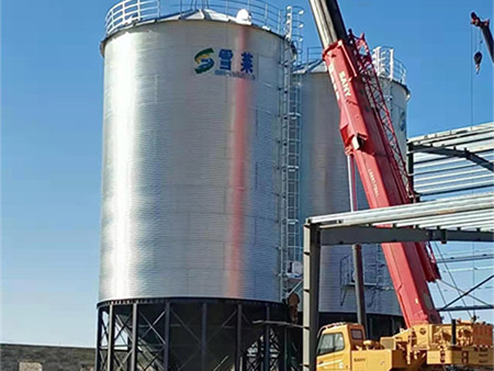 2-500T corn storage silos and 1-100T grain storage silos