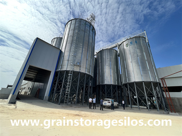 4-500T assembly galvanized steel silos project for corn storage in cattle farm