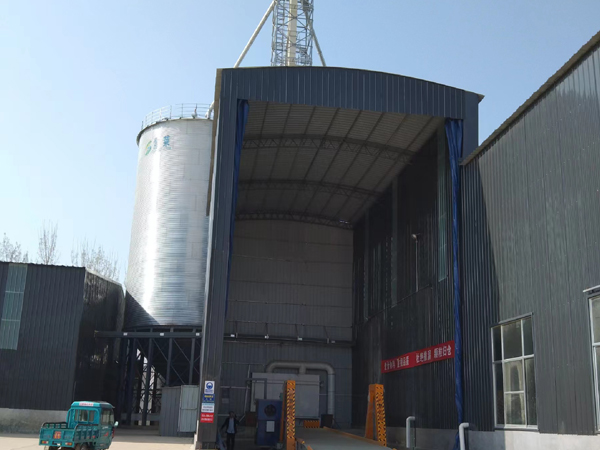 2-1000T hopper bottom soybeans and corn storage steel silos project for a grain