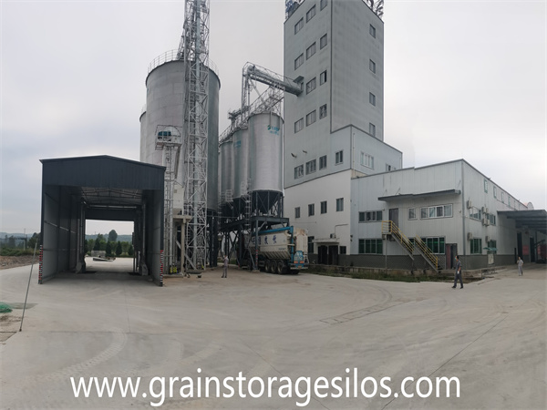2-1000T and 4-100T assembly galvanized steel hopper bottom corn storage silos pr