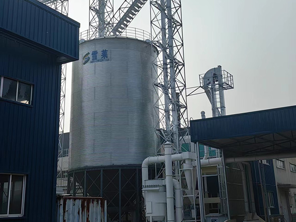 Hebei Hengshui Pet Feed Factory's 1-500T Cone Bottom Silo Successfully Accepted