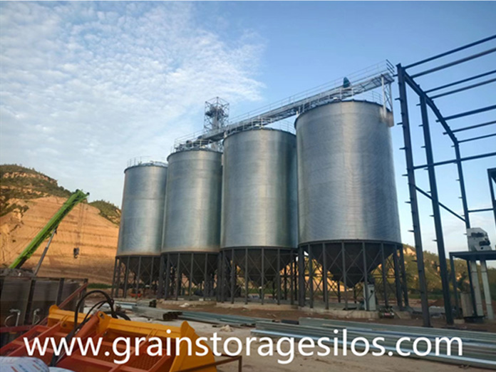 4-500T assembly galvanized grain storage project for corn storage in cattle farm