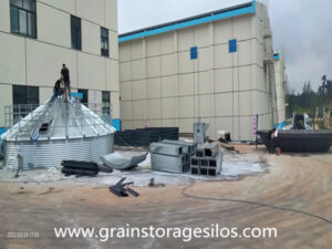 1 set 350T Paddy(unhulled rice) Storage Silo with bucket elevator