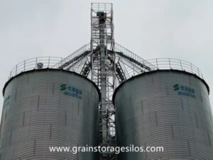 Flour mill, wheat enters silo through bucket elevator