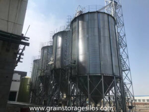 Soybeans and soybean meal enter different hopper bottom silos through bucket elevators.