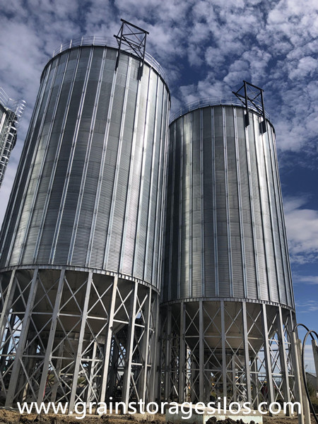 4 sets 1500T hopper bottom silos are running well in Canada