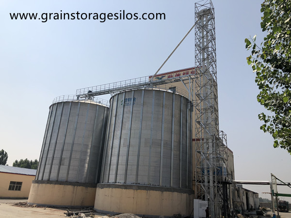 2*1200T cement hopper bottom steel silos project of Dongping County Feed Factory in Shandong Province