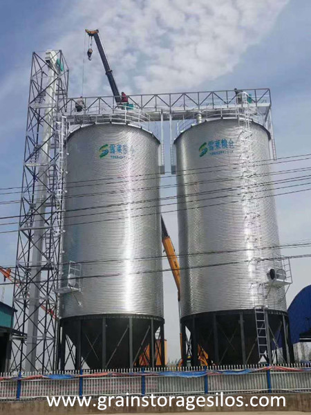 Galvanized Wheat Silos 2x300T are Being Installed in China