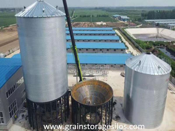Hebei 2-1500t corn hopper bottom silo is being installed