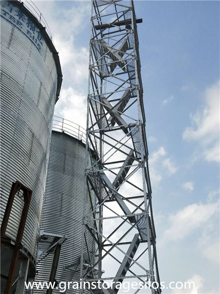 Maize Silos Installation in Jiangsu Province