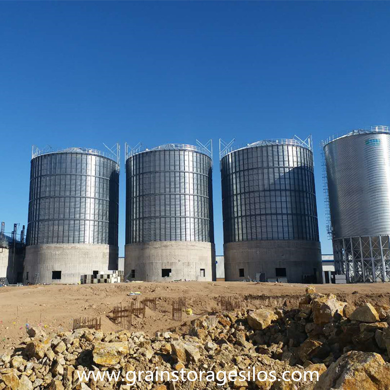 Rape Seed Storage Silo Installation in Inner Mongolia
