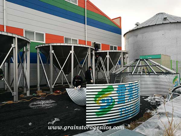 Rice Storage Silos Installation in South Korea