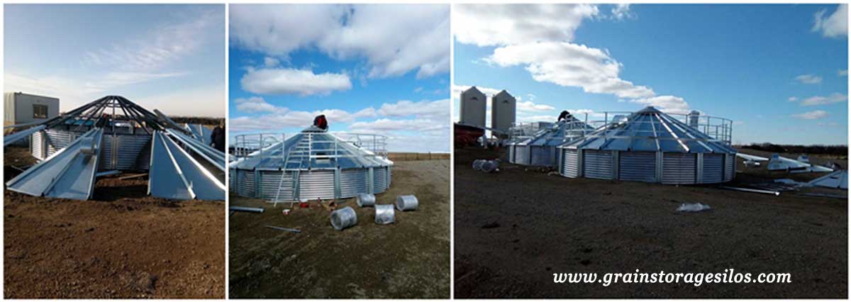 Paddy Steel Silo project is being installed in Canada