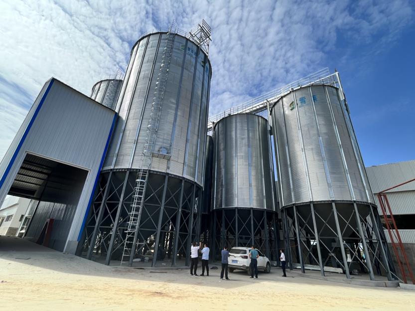 3 sets 400T,2sets1000T and 1 set 150T hopper bottom storage silos construction has started