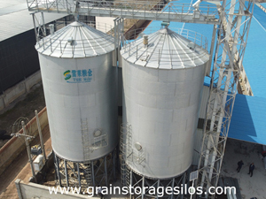 2x500T galvanized hopper bottom silos for corn