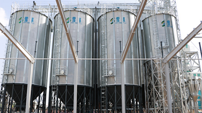 2-1000T and 3-400T corn storage silos