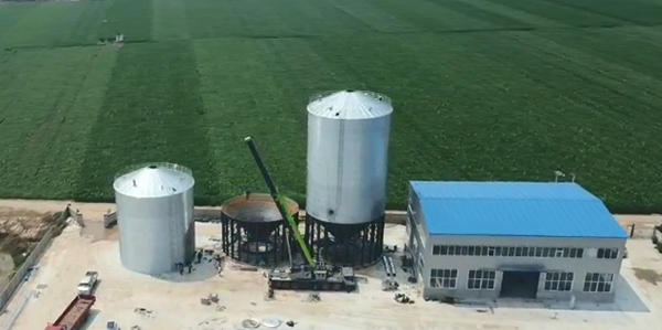 This project is a 2 × 1500T Steel Silos with elevator loading in and unloading