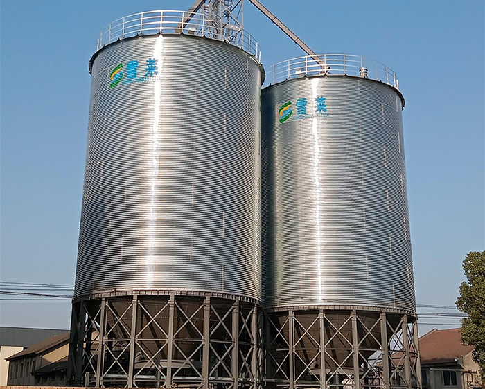 2-500T Hopper Steel Silos in Qianjiang City Hubei Province Finished Installation