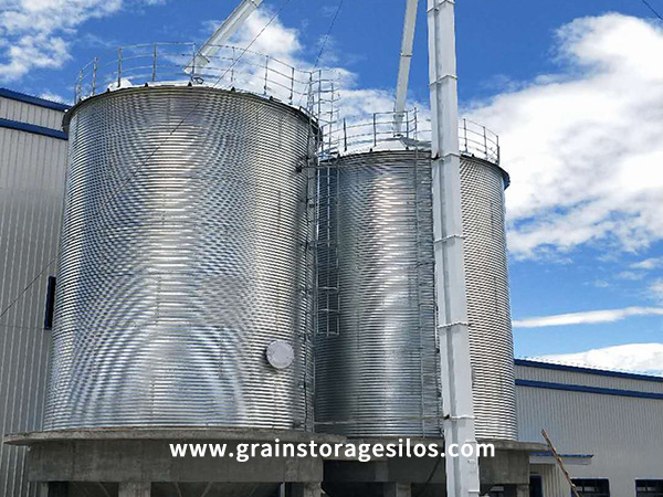 Case Study Of 3000 Ton Feed Steel Plate Silo