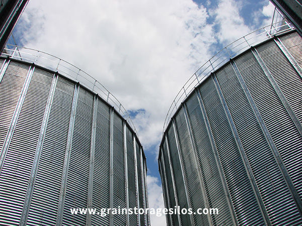 1000 Ton Steel Silo Exterior Shot