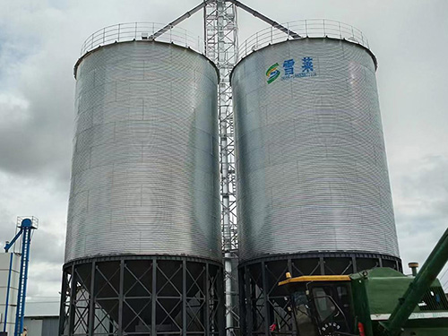 2-500ton corn storage silo system done in Congo