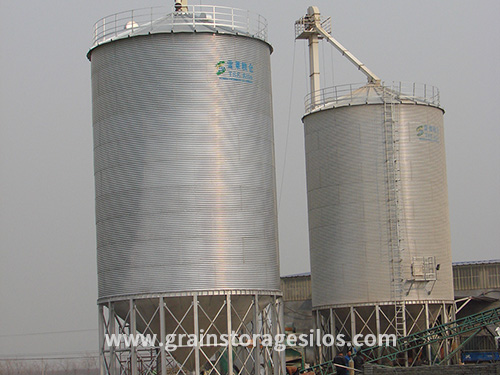 Maize storage steel silo project in Dongping, China