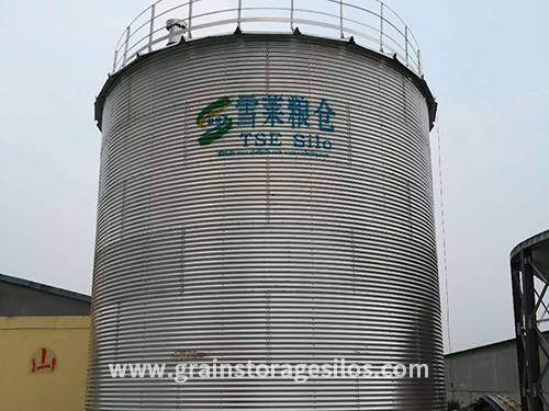 Maize storage steel silo project in Ju’ye, China