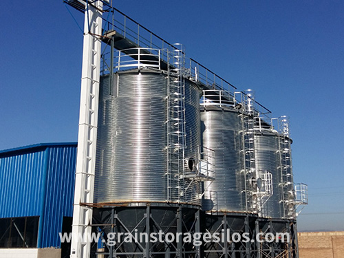 3-100ton millet storage silo project in China