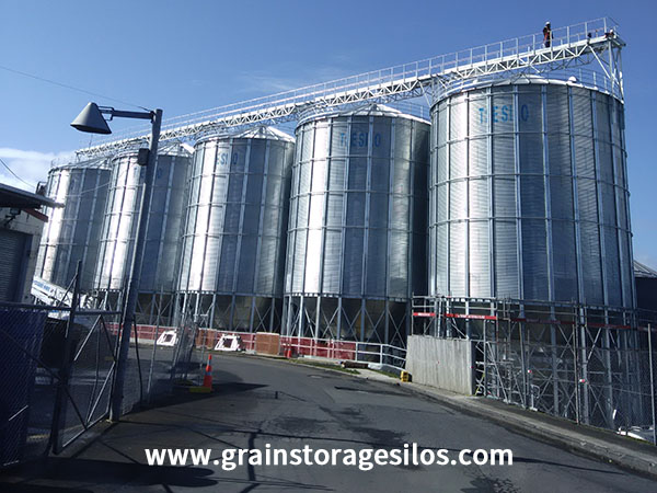 1200 Ton Cone-Shaped Steel Plate Silo