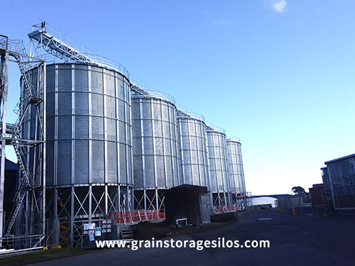 5-1000ton Wheat Storage Silo Project In New Zealand