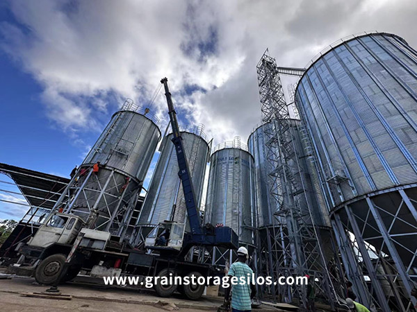 Construction Of 1000 Ton Steel Plate Silo In Progress