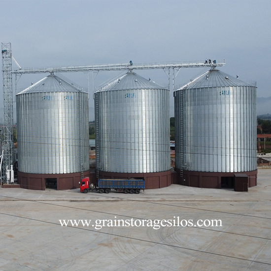 Flat bottom silos
