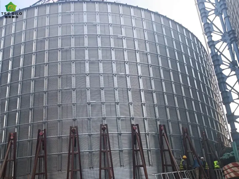 Construction of Large Flat-Bottomed Steel Silos Is Underway Construction of Large Flat-Bottomed Steel Silos Is Underway