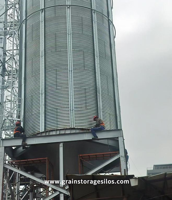 1-200 Tons Biomass Pellet Silo Picture-6