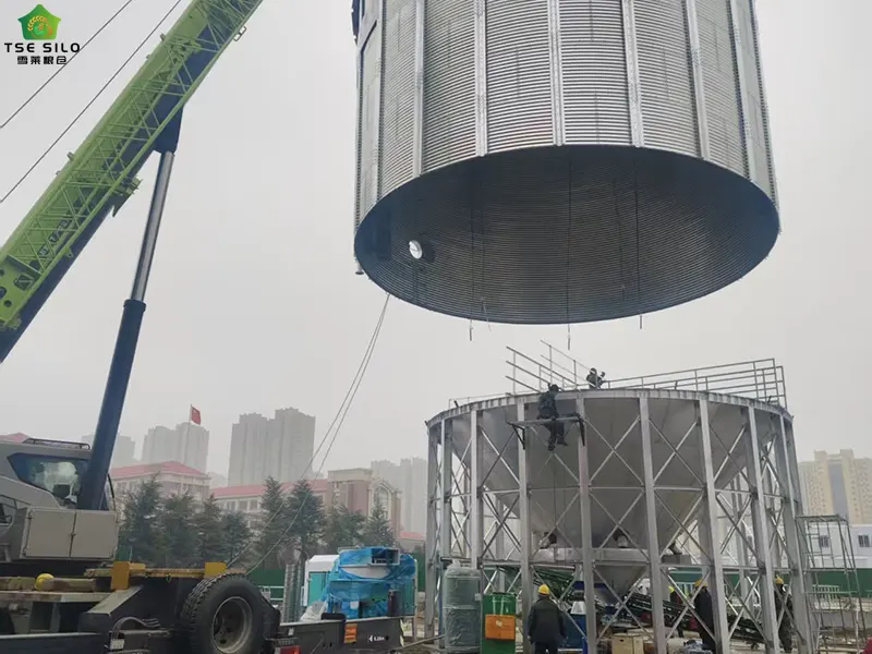 Installation Site of Large Cone-Bottom Steel Silo Installation Site of Large Cone-Bottom Steel Silo