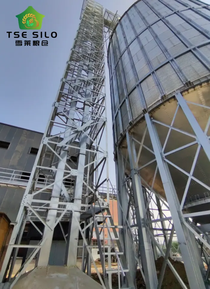 Cone Bottom Steel Silo