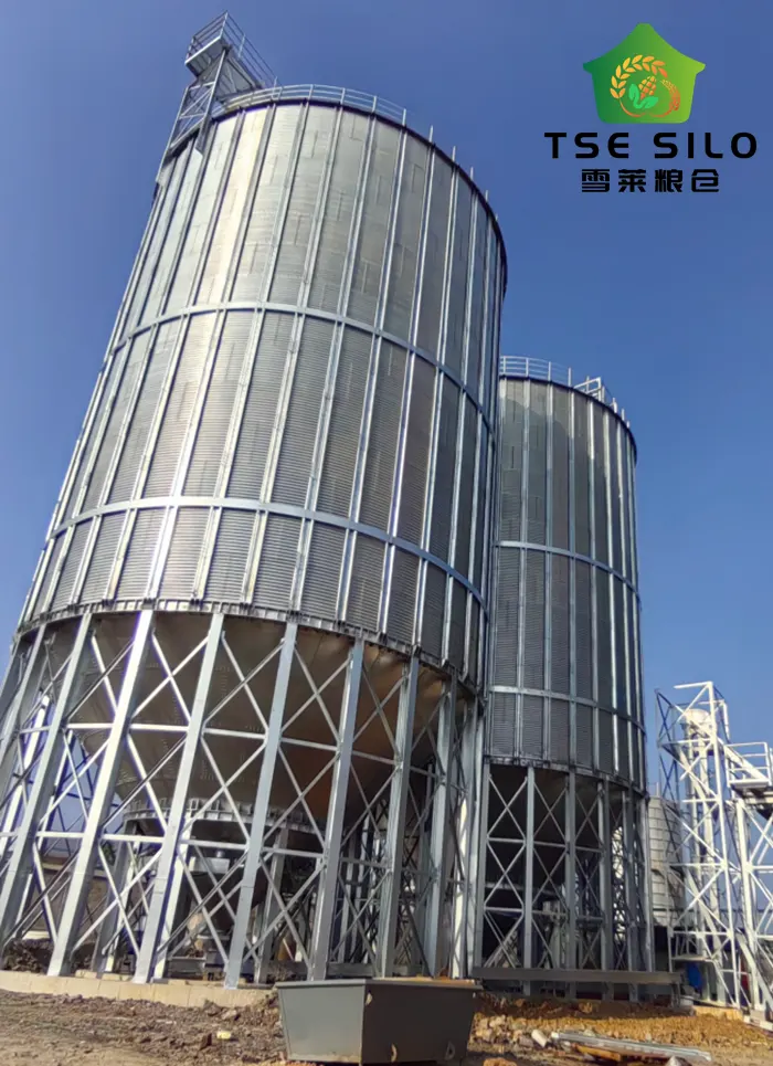 Hopper Bottom Silos
