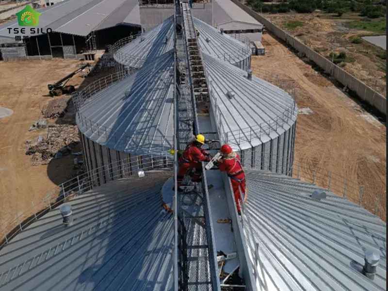 Steel Silo Construction