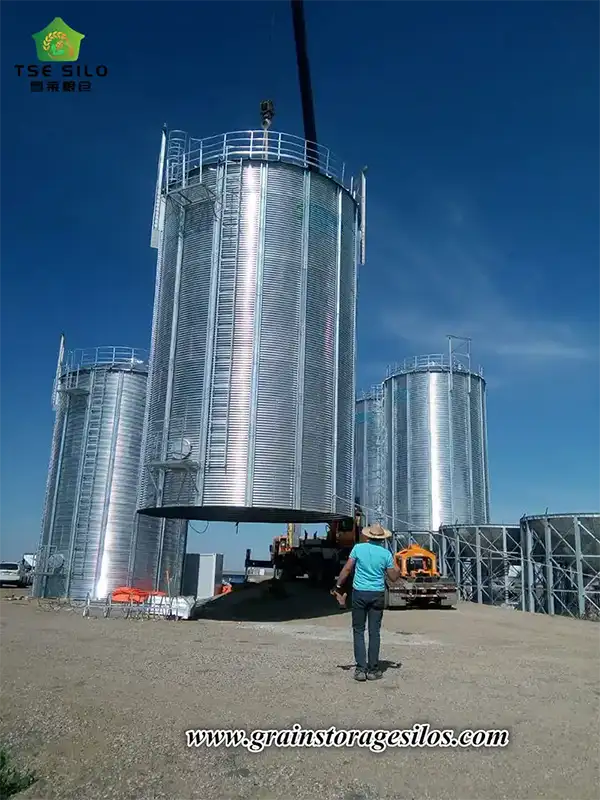 Canada Cone Silo System Solution